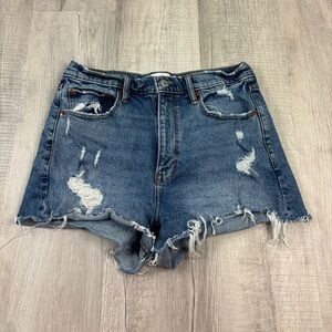 Abercrombie & Fitch The Mom Short High Rise Size 29/8